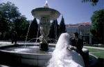 Spain, Madrid Retiro Park, marriage
 © Maro Kouri